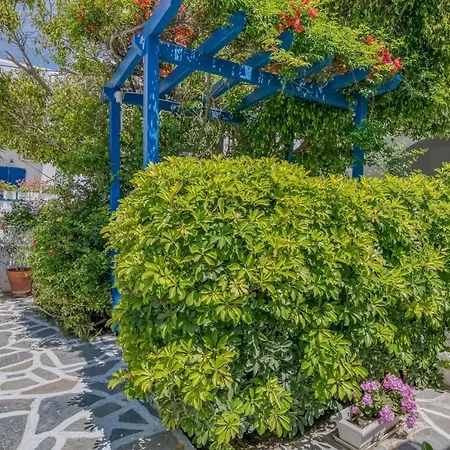 Alpha * Naousa (Paros)