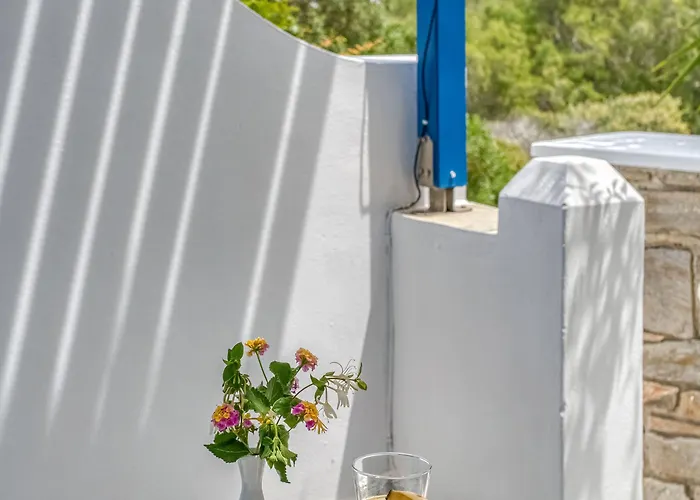 Alpha Zambujeira do Mar